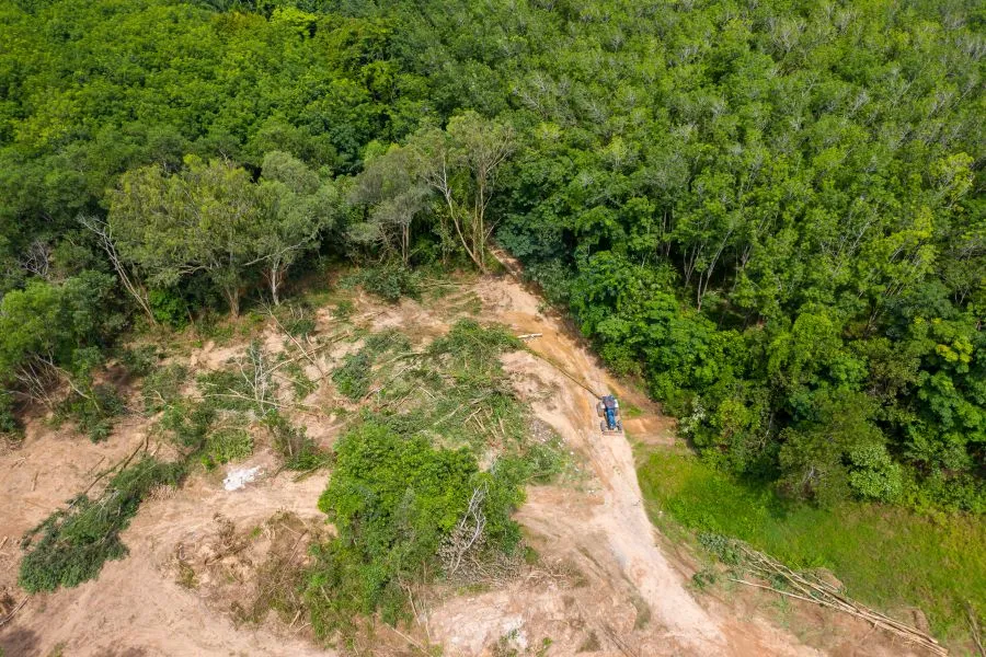 A tractor cutting down trees from a birds eye view.